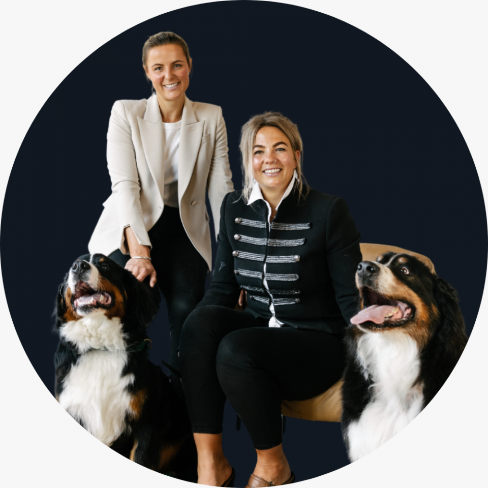 Dogs 2 1