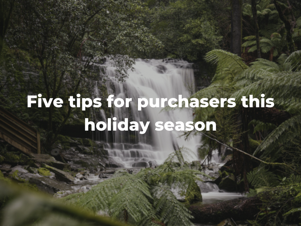 Five tips for purchasers this holiday season