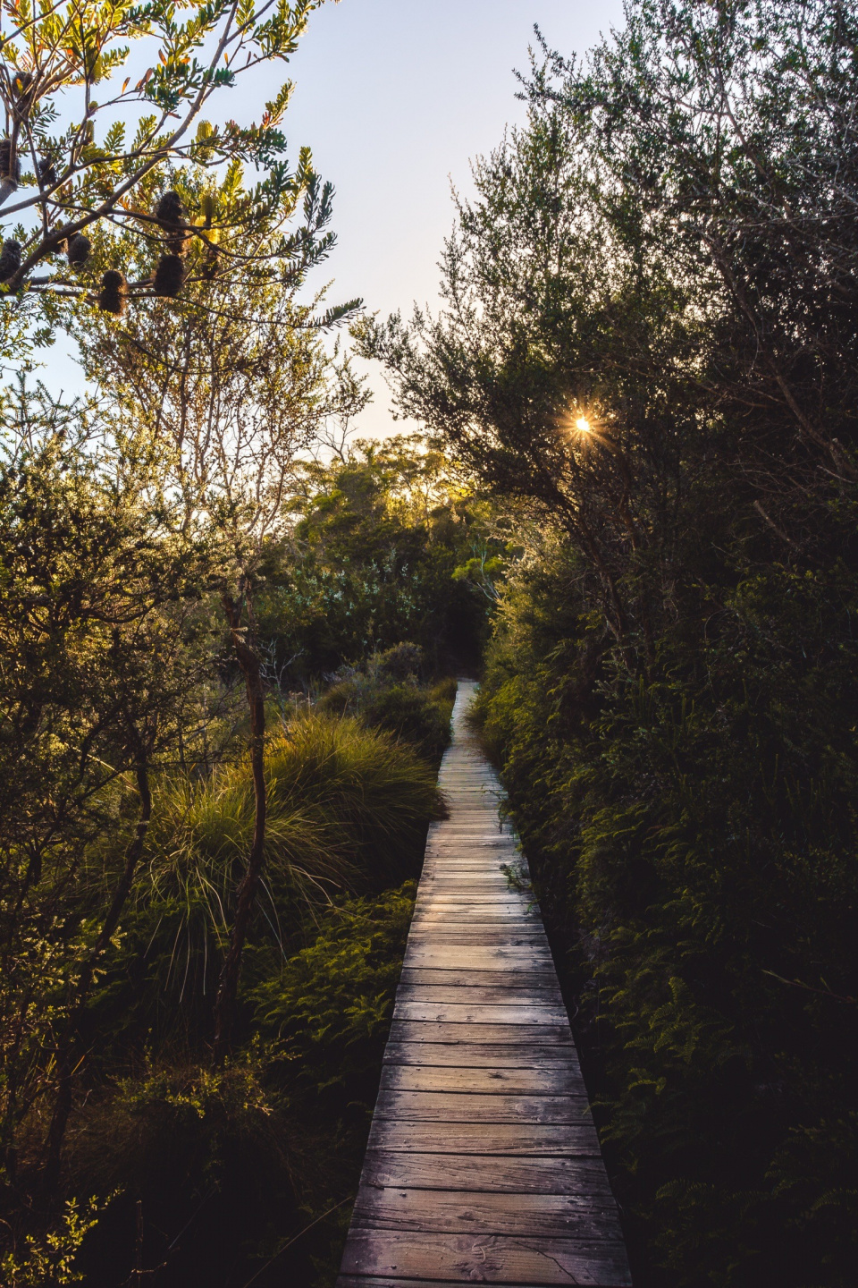 Boardwalk 2