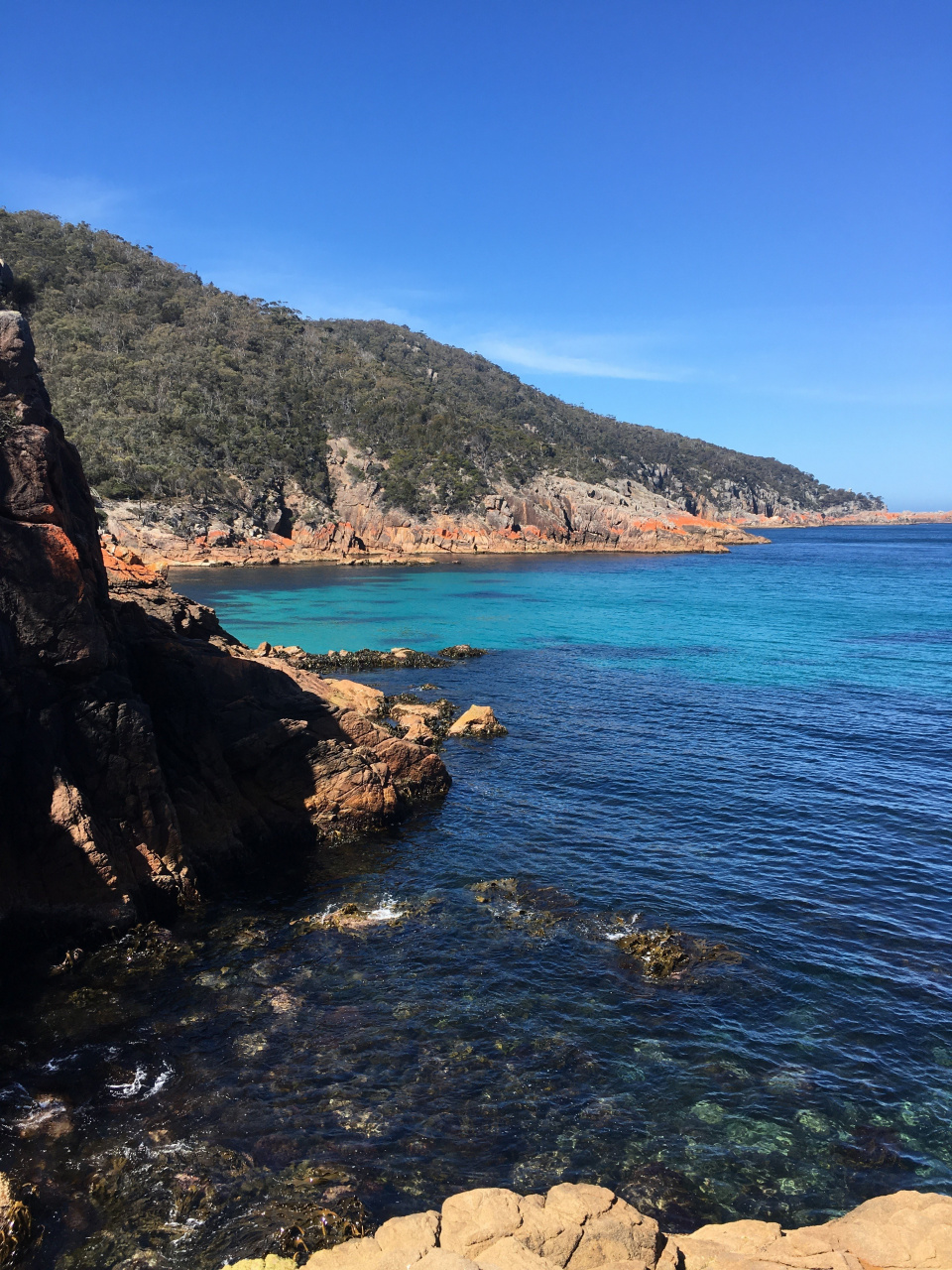 Coles bay blue water
